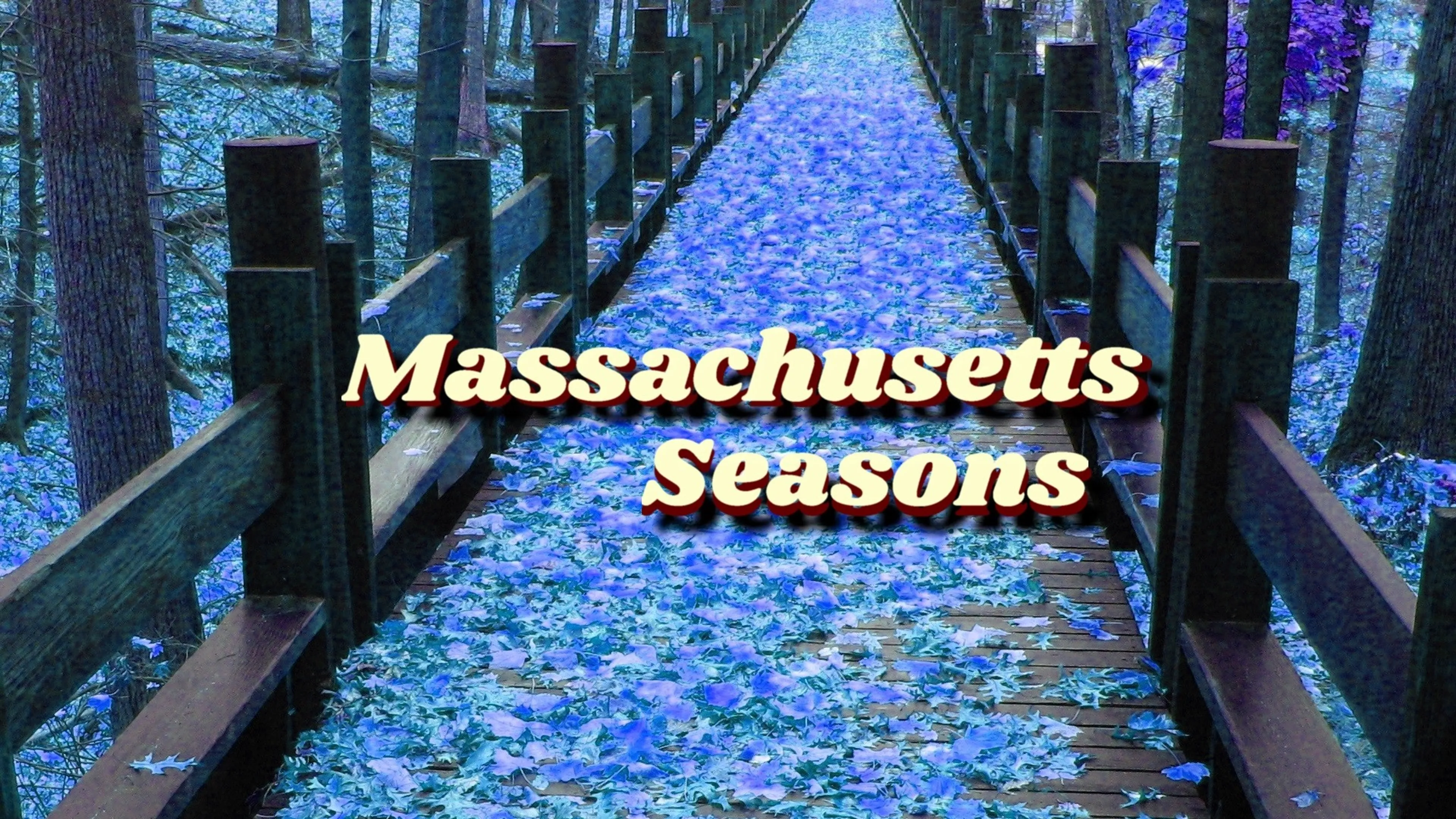 Massachusetts Seasons poster